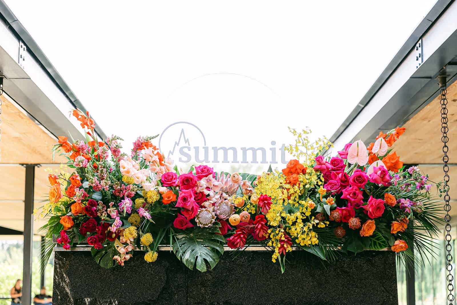 Summit Event