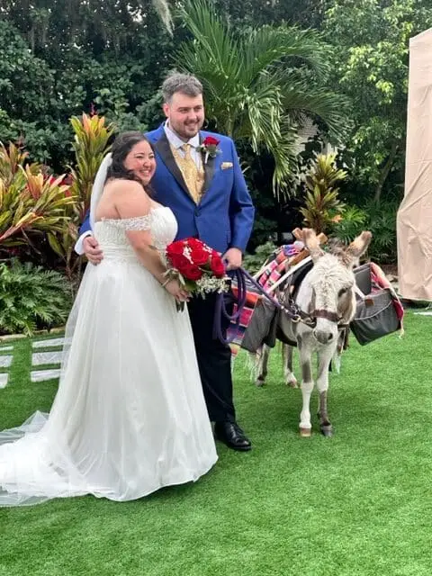 Miniature beer burro in decorated saddlebags at a Central Florida event